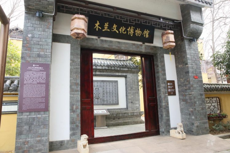 图片11.jpg