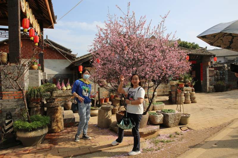 Jackpot(�й���)�ٷ���վ